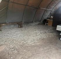 1 Stellplatz in einer Halle -Aligse- - Lehrte