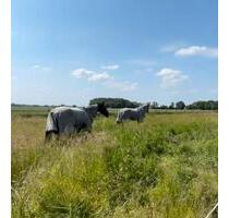 Selbstversorger Pferdehof Bauernhof Leben mit Tieren - Schwanewede