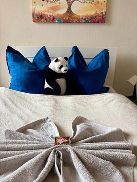 Foto - 2 Zimmer andere zur Miete in Zwickau