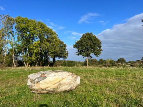 Foto - Grundstück in Albersdorf