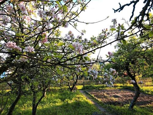 Foto - Grundst&uuml;ck zur Miete in Lambrechtshagen