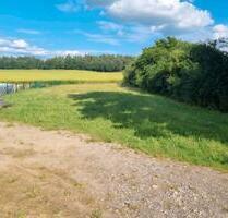 Baugrundstück in Bollewick bei Röbel - Röbel/Müritz