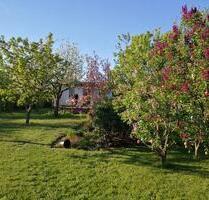 Kleingarten 630 m² in Cottbus Klein-Ströbitz