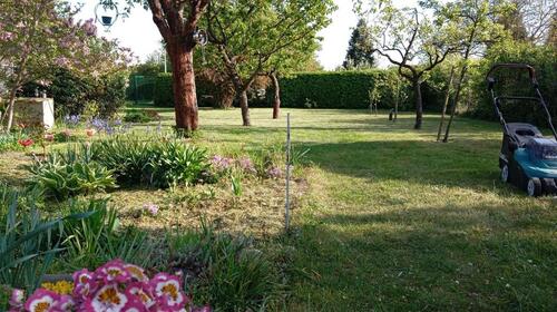 Foto - Grundst&uuml;ck zur Miete in Cottbus