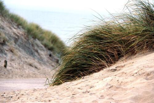 Foto - WG Zimmer in Oldenburg - 480,00&nbsp;EUR Kaltmiete, ca.&nbsp; 22,00&nbsp;m&sup2;