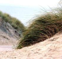 WG Zimmer in Oldenburg - 480,00&nbsp;EUR Kaltmiete, ca.&nbsp; 22,00&nbsp;m&sup2; in Oldenburg (PLZ: 26125) Etzhorn