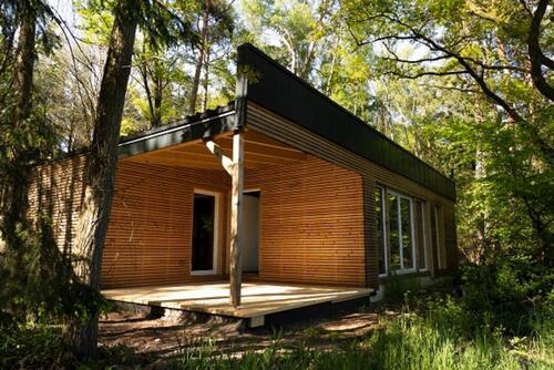 Foto - Einfamilienhaus in Wienhausen zum Kaufen