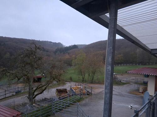 Foto - 3 Zimmer Etagenwohnung zur Miete in Boppard