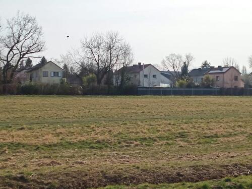 Foto - 4 Zimmer Doppelhaushälfte zum Kaufen in Frankfurt am Main