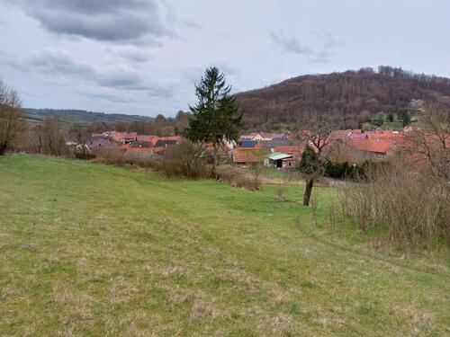 Foto - 