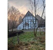 Charmantes Fachwerkhaus im Grünen zu vermieten! - Dörentrup