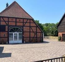 Feirenhaus 10-14 Personen, Kamin, Sauna Hund in den Elbtalauen - Amt Neuhaus