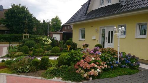 Foto - 