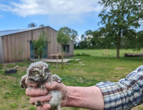 Foto - Loft - Studio - Atelier in Vreden zur Miete