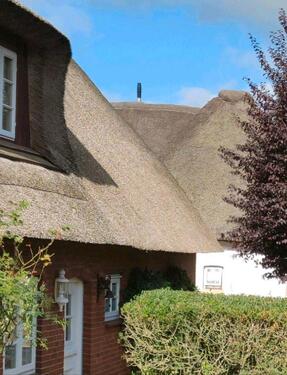 Foto - Doppelhaushälfte zum Kaufen in Wyk Auf Föhr
