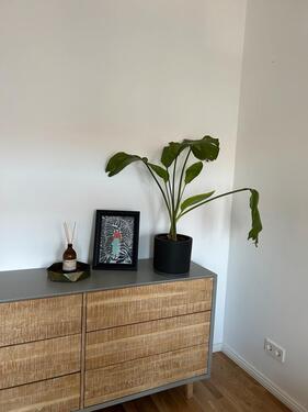 Foto - andere in Berlin zur Miete