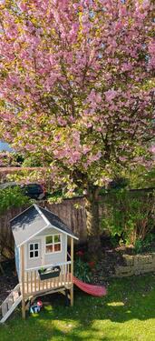 Foto - Doppelhaushälfte mit schönem Garten in Denning auf Zeit