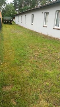 Foto - andere in Winsen (Aller)