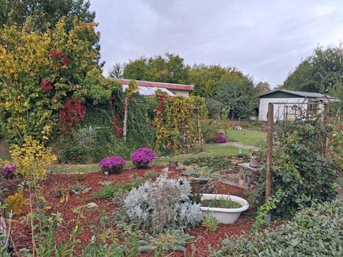 Foto - Kleingarten Pachtgarten 384 m² - 2.500,00&nbsp;EUR Kaltmiete, ca.&nbsp; 0,00&nbsp;m&sup2;