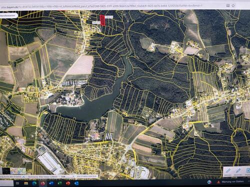 Foto - Wald Freizeitgrundstück am Eginger See als Wert - Kapitalanlage