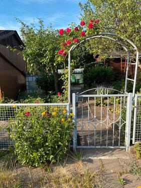 Foto - Grundst&uuml;ck zur Miete in Halle (Saale)