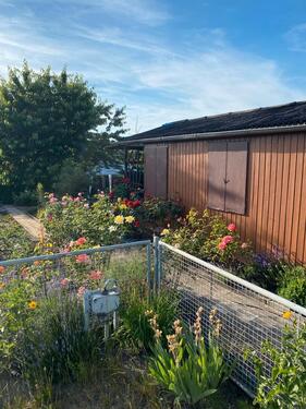 Foto - Grundst&uuml;ck in Halle (Saale)
