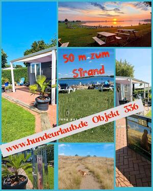 Foto - Urlaub in NL zu jeder Jahreszeit