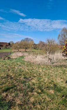 Foto - Wiese in Schweinrich - 100,00&nbsp;EUR Kaltmiete, ca.&nbsp; 0,00&nbsp;m&sup2;