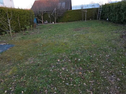 Foto - 5 Zimmer Einfamilienhaus zum Kaufen in Kassel