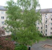 Neu renoviertes Zuhause! Helle 3-Zimmer-Wohnung ab sofort frei - Nürnberg Gärten bei Wöhrd Neu renoviertes Zuhause! Helle 3-Zimmer-Wohnung ab sofort frei - Nürnberg Gärten bei Wöhrd