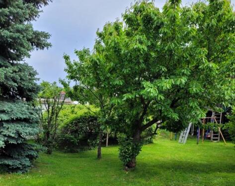 Foto - Erdgeschoßwohnung in Konstanz zur Miete
