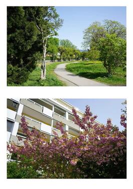 Foto - Etagenwohnung zur Miete in Lindau (Bodensee)