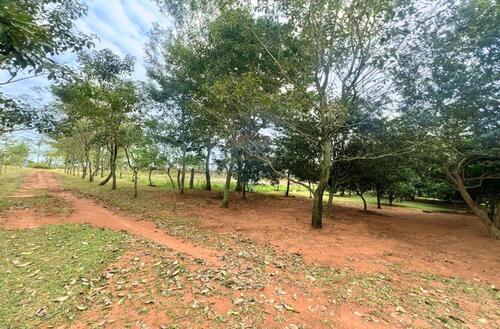 Foto - Einfamilienhaus zum Kaufen in Hamburg