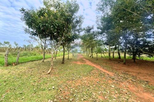 Foto - Einfamilienhaus in Hamburg zum Kaufen