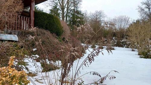 Foto - Einfamilienhaus mit idyllischem Garten in Frensdorf