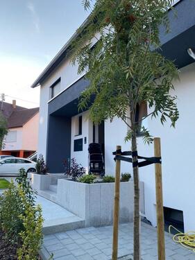 Foto - Haus im Haus, großzügige 5 Zi. Wohnung mit 40 qm Dachterrasse