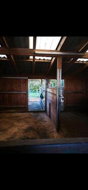 Foto - Einfamilienhaus zum Kaufen in Alerheim