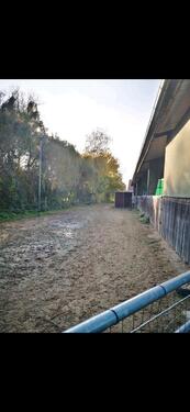 Foto - Einfamilienhaus in Alerheim