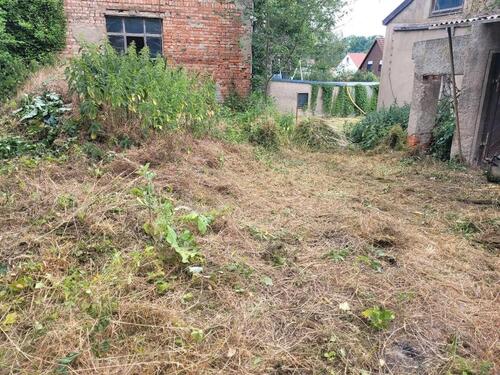 Foto - Einfamilienhaus in Stauchitz zum Kaufen