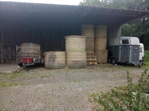 Foto - 3.5 Zimmer Bauernhaus, Landhaus in Hambergen