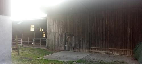 Foto - Bauernhaus, Landhaus in Hambergen zum Kaufen