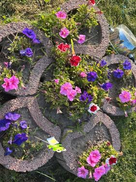 Foto - Grundst&uuml;ck zur Miete in Rostock