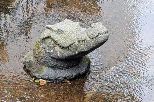 Foto - Reif für die Insel? 2-Zimmer-Wohnung mit Münsterblick zum Verkauf
