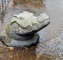 Reif für die Insel? 2-Zimmer-Wohnung mit Münsterblick zum Verkauf - Freiburg im Breisgau