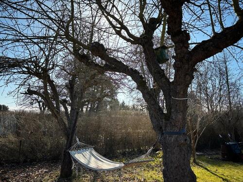 Foto - Grundst&uuml;ck in Wittstock/Dosse zur Miete