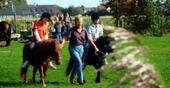 Foto - andere zur Miete in Büsum