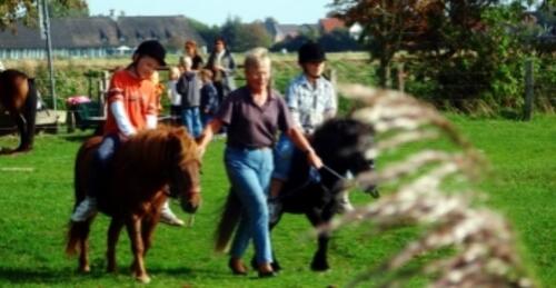 Foto - andere zur Miete in Büsum