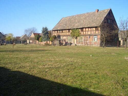 Foto - Bauernhof Resthof mit landw. Flächen MFH mit großem Grundstück