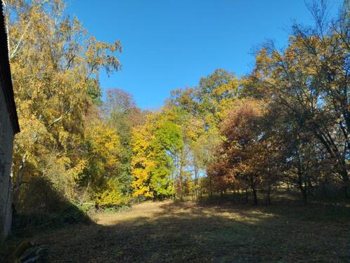 Foto - Traumhaftes Grundstück in Nossen