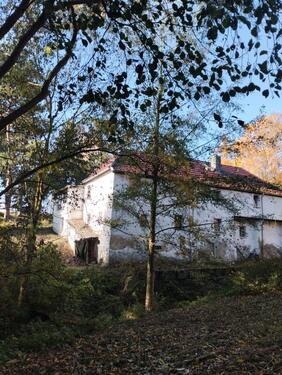 Foto - Einfamilienhaus zum Kaufen in Döbeln